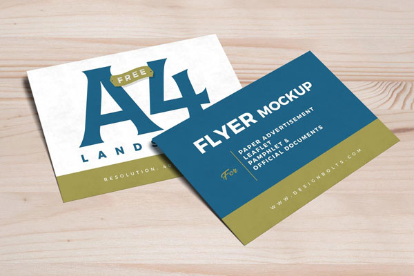 Two Overlapping A4 Landscape Flyer Mockup
