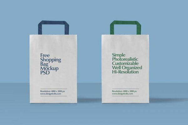 Two Realistic Paper Shopping Bags Mockup