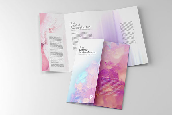 Two Standard Size Gatefold Brochures Mockup