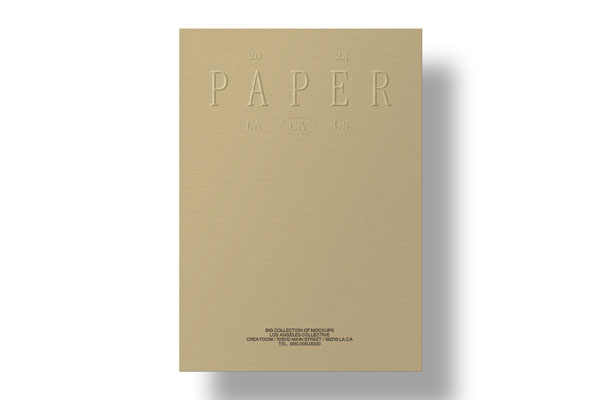 Universal Paper Mockup in Facing View