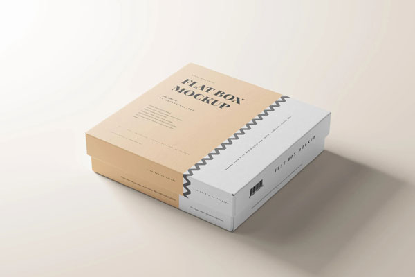 Varied Views of 10 Flat Box Mockups