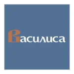 Vasilisa Logo