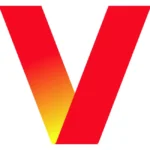 Verizon 2024 V Icon Logo