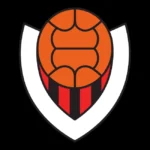 Vikingur Reykjavik Logo