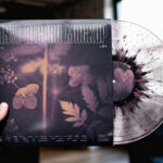 Vinyl Record Mockup with a Disc