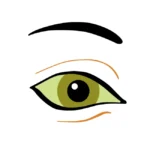Vision Eye Logo