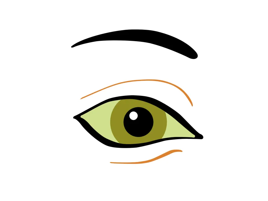 Vision Eye Logo