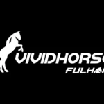 VividHorse Logo