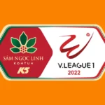 VLeague 1 Logo