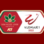 VLeague 1 Logo