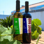 Wine Bottle Label Mockups