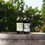 Wine Bottles Mockup in Outdoors