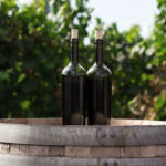 Wine Bottles Mockup in Outdoors
