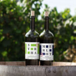 Wine Bottles Mockup in Outdoors