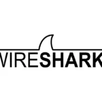 Wireshark Logo