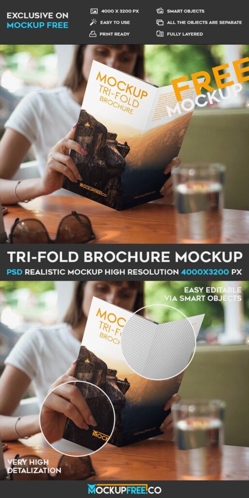 Woman Reading a Tri-Fold Brochure Mockup