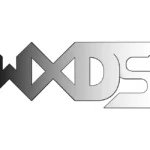 WXDS 2017 Years 2st Logo