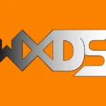 WXDS 2017 Years 2st Logo