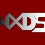 WXDS 2017 Years 2st Logo
