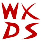 WXDS 2019 Years 2st Logo