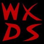 WXDS 2019 Years 2st Logo