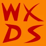 WXDS 2019 Years 2st Logo