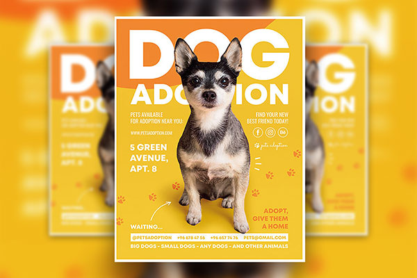 Yellow, Orange, Modern Dog Adoption Flyer Along with Facebook Cover Templates