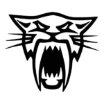 ARCTIC CAT HEAD logo