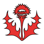 AS Nansy Lorraine logo